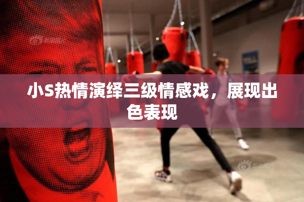 小S热情演绎三级情感戏，展现出色表现