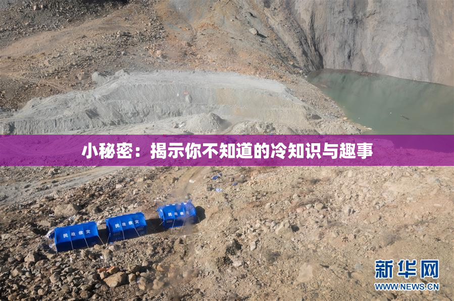 小秘密：揭示你不知道的冷知识与趣事