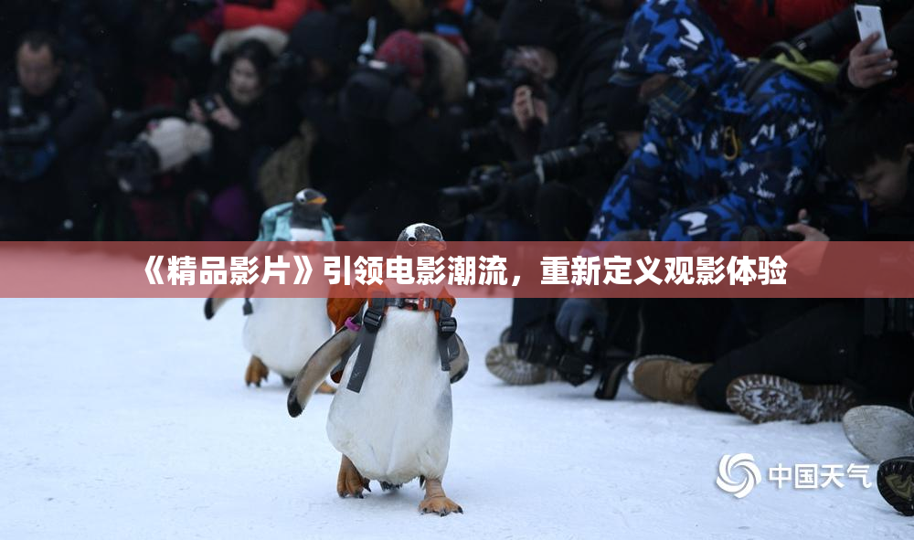 《精品影片》引领电影潮流，重新定义观影体验