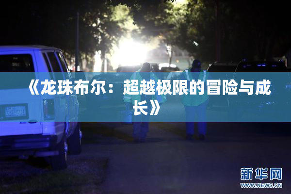 《龙珠布尔：超越极限的冒险与成长》