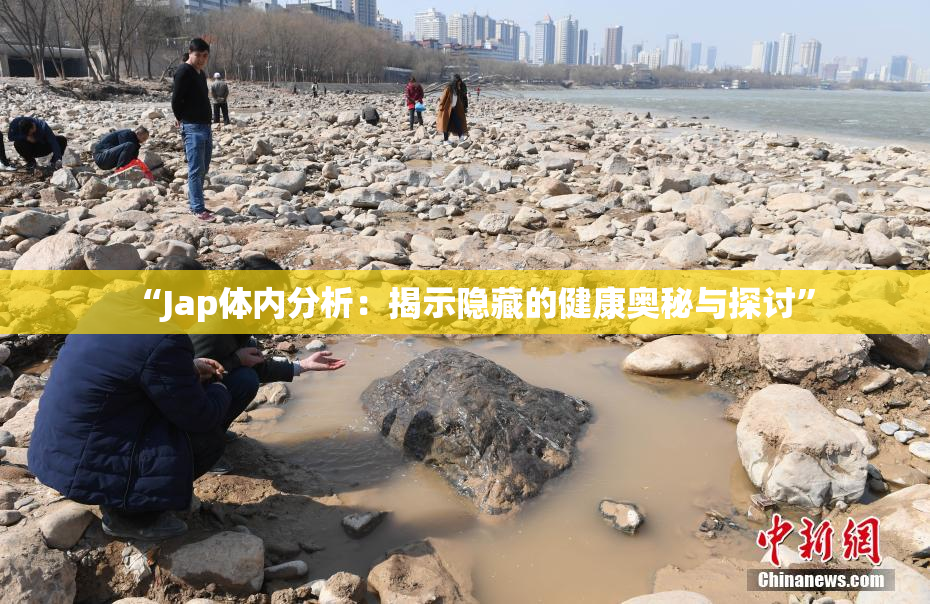 “Jap体内分析：揭示隐藏的健康奥秘与探讨”