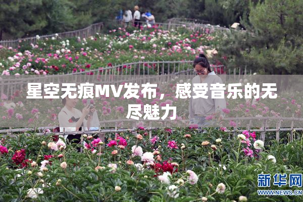 星空无痕MV发布，感受音乐的无尽魅力
