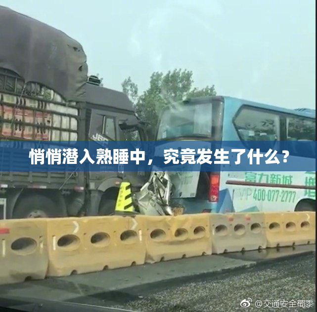 悄悄潜入熟睡中，究竟发生了什么？