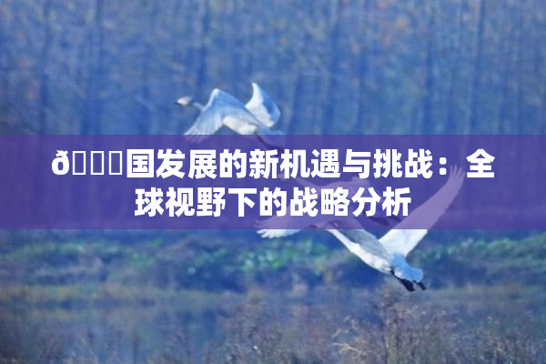 🔞国发展的新机遇与挑战：全球视野下的战略分析