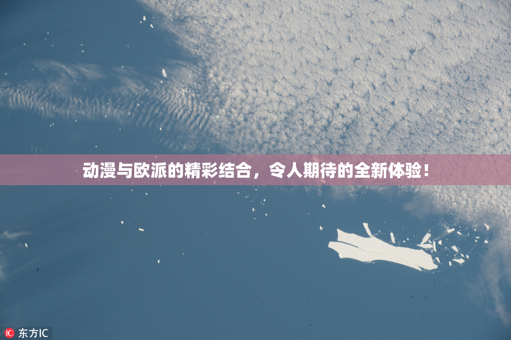 动漫与欧派的精彩结合，令人期待的全新体验！