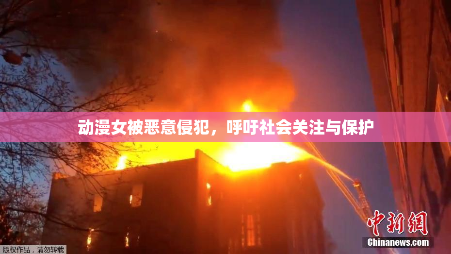 动漫女被恶意侵犯，呼吁社会关注与保护