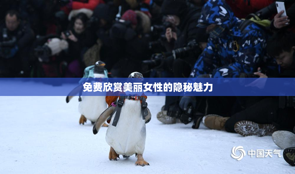 免费欣赏美丽女性的隐秘魅力