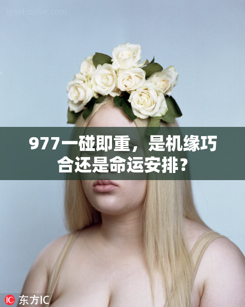 977一碰即重，是机缘巧合还是命运安排？