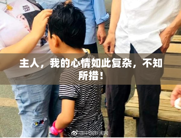 主人，我的心情如此复杂，不知所措！