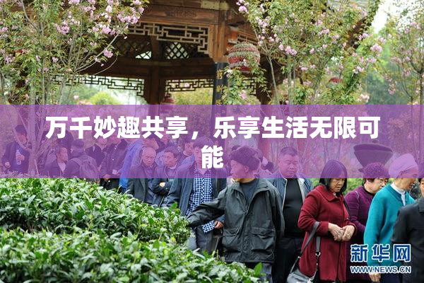 万千妙趣共享，乐享生活无限可能