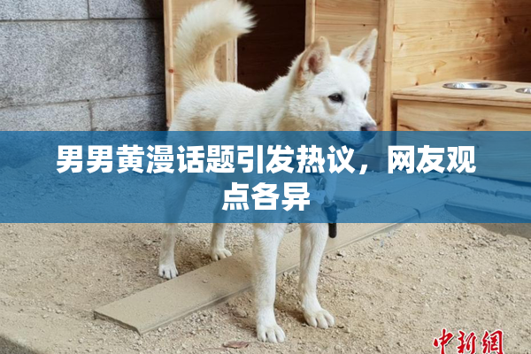 男男黄漫话题引发热议，网友观点各异