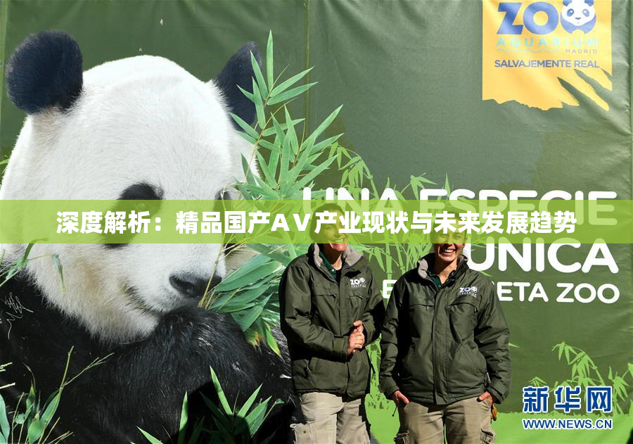 深度解析：精品国产AⅤ产业现状与未来发展趋势