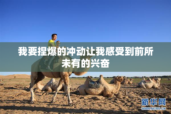 我要捏爆的冲动让我感受到前所未有的兴奋