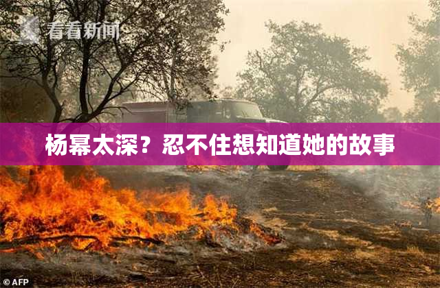 杨幂太深？忍不住想知道她的故事