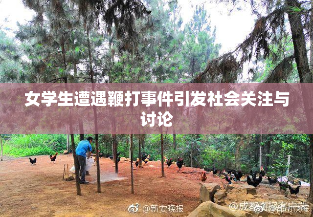 女学生遭遇鞭打事件引发社会关注与讨论