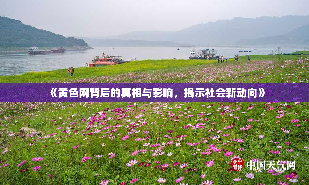 《黄色网背后的真相与影响，揭示社会新动向》