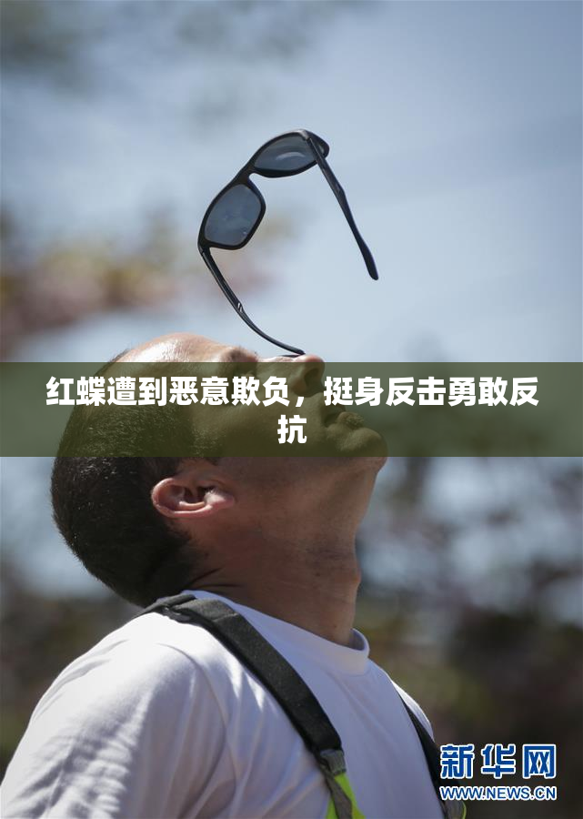 红蝶遭到恶意欺负，挺身反击勇敢反抗