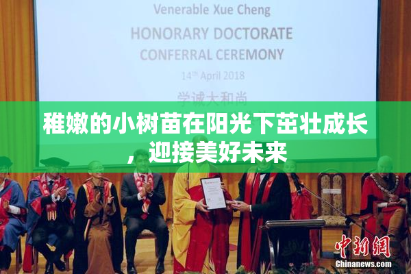 稚嫩的小树苗在阳光下茁壮成长，迎接美好未来