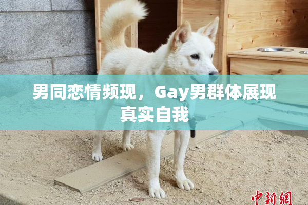 男同恋情频现，Gay男群体展现真实自我