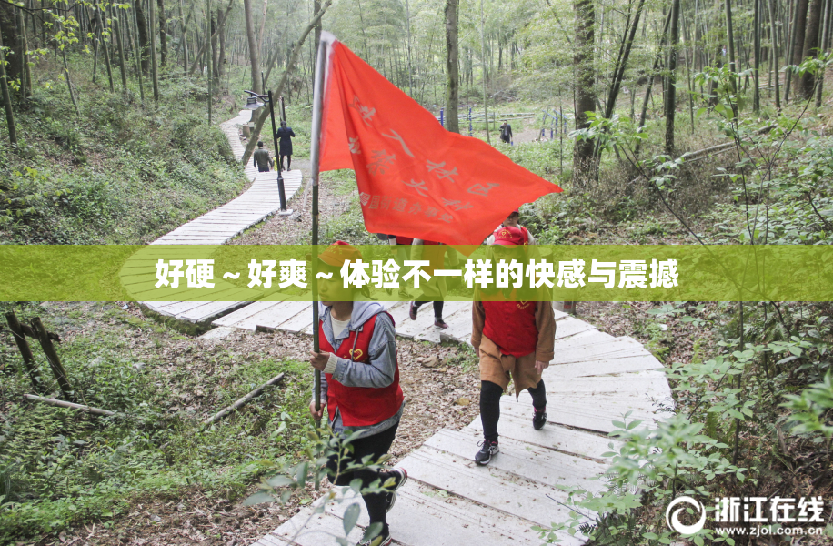 好硬～好爽～体验不一样的快感与震撼