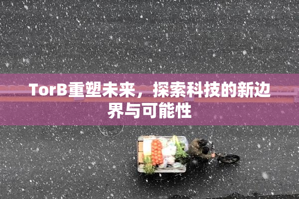 TorB重塑未来，探索科技的新边界与可能性