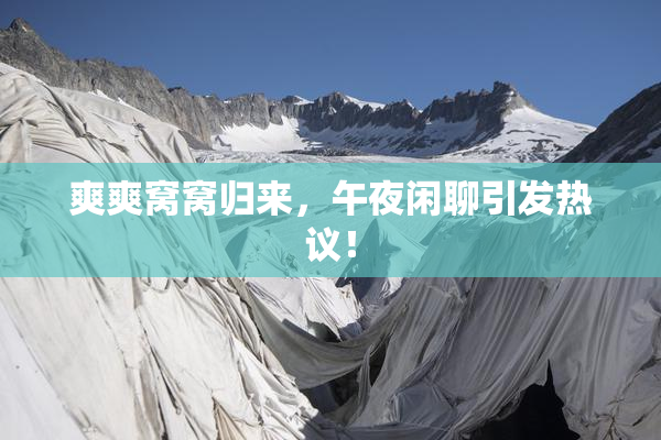 爽爽窝窝归来，午夜闲聊引发热议！