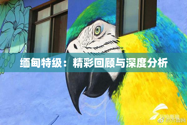 缅甸特级：精彩回顾与深度分析