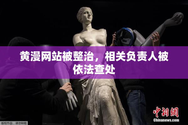 黄漫网站被整治，相关负责人被依法查处
