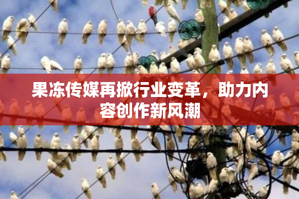 果冻传媒再掀行业变革，助力内容创作新风潮