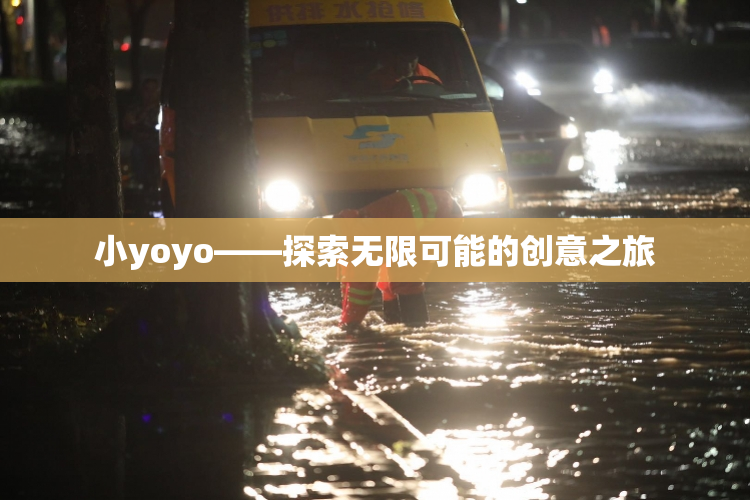小yoyo——探索无限可能的创意之旅