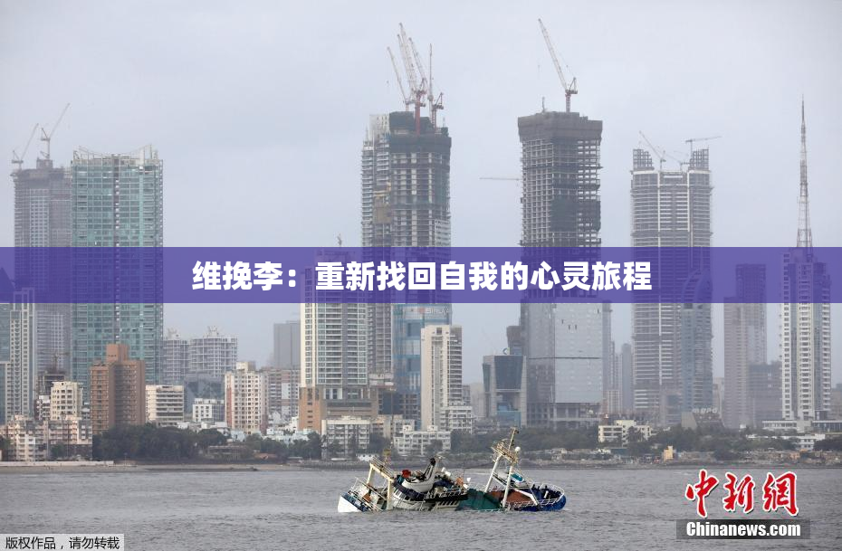 维挽李：重新找回自我的心灵旅程