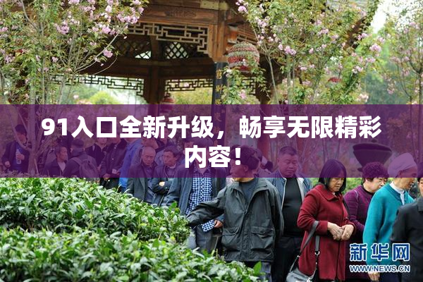 91入口全新升级，畅享无限精彩内容！