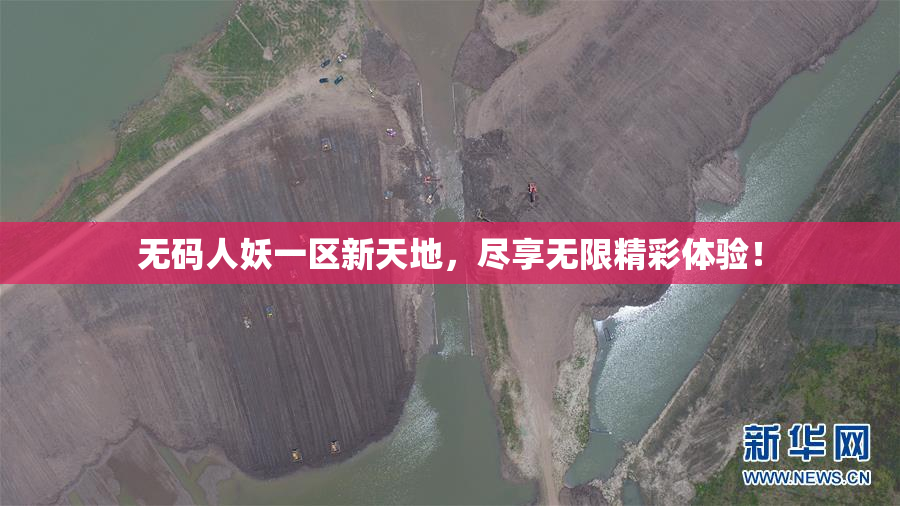 无码人妖一区新天地，尽享无限精彩体验！