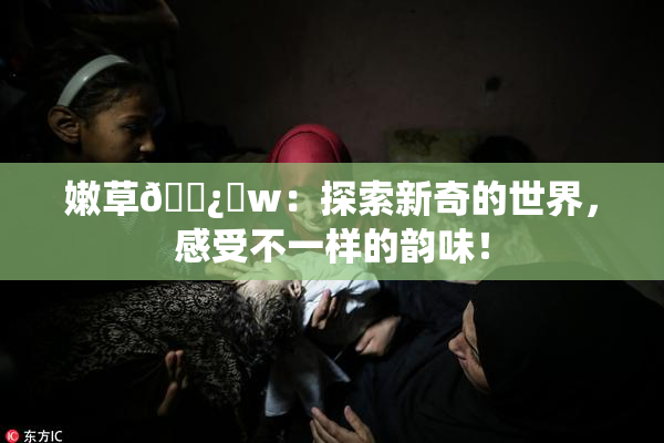 嫩草🌿‌w：探索新奇的世界，感受不一样的韵味！