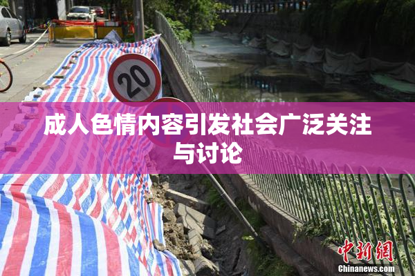 成人色情内容引发社会广泛关注与讨论