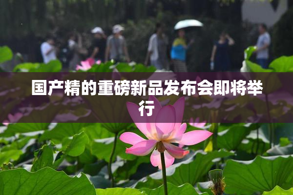 国产精的重磅新品发布会即将举行