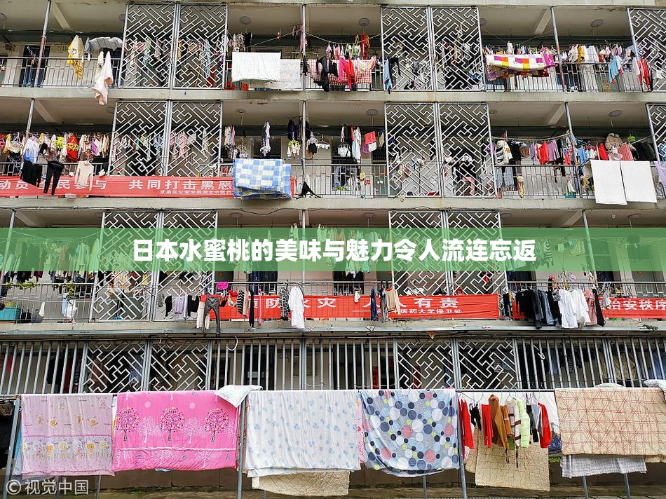 日本水蜜桃的美味与魅力令人流连忘返