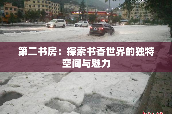 第二书房：探索书香世界的独特空间与魅力