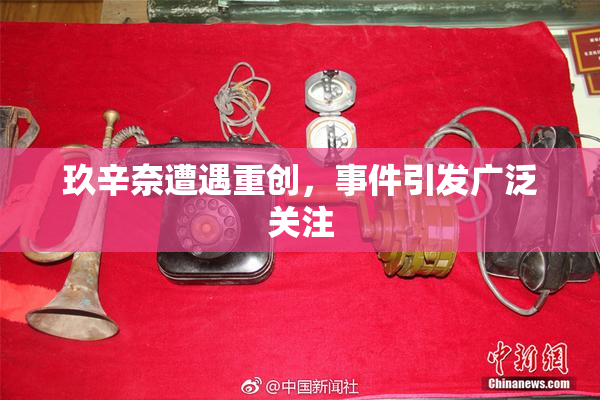 玖辛奈遭遇重创，事件引发广泛关注