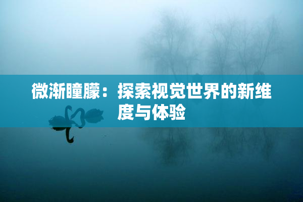 微渐瞳朦：探索视觉世界的新维度与体验