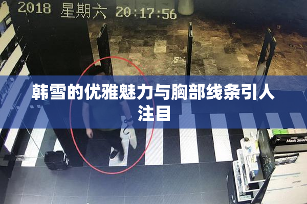 韩雪的优雅魅力与胸部线条引人注目
