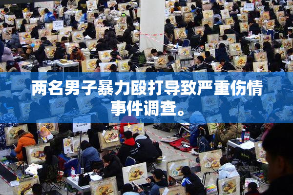 两名男子暴力殴打导致严重伤情事件调查。