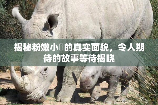 揭秘粉嫩小泬的真实面貌，令人期待的故事等待揭晓