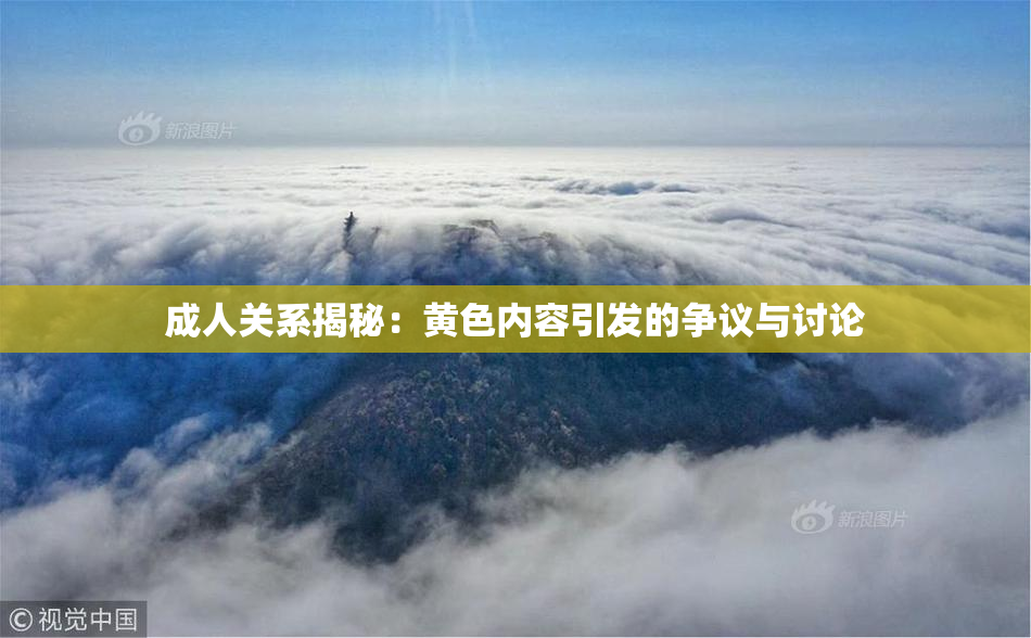 成人关系揭秘：黄色内容引发的争议与讨论