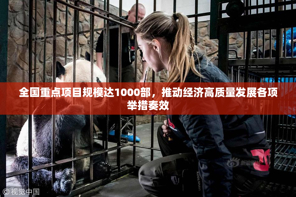 全国重点项目规模达1000部，推动经济高质量发展各项举措奏效