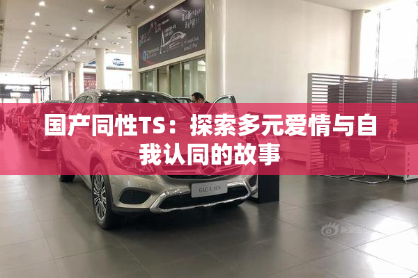 国产同性TS：探索多元爱情与自我认同的故事