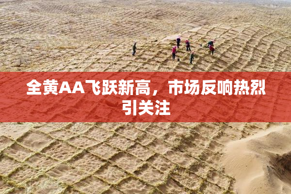 全黄AA飞跃新高，市场反响热烈引关注