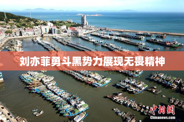 刘亦菲勇斗黑势力展现无畏精神