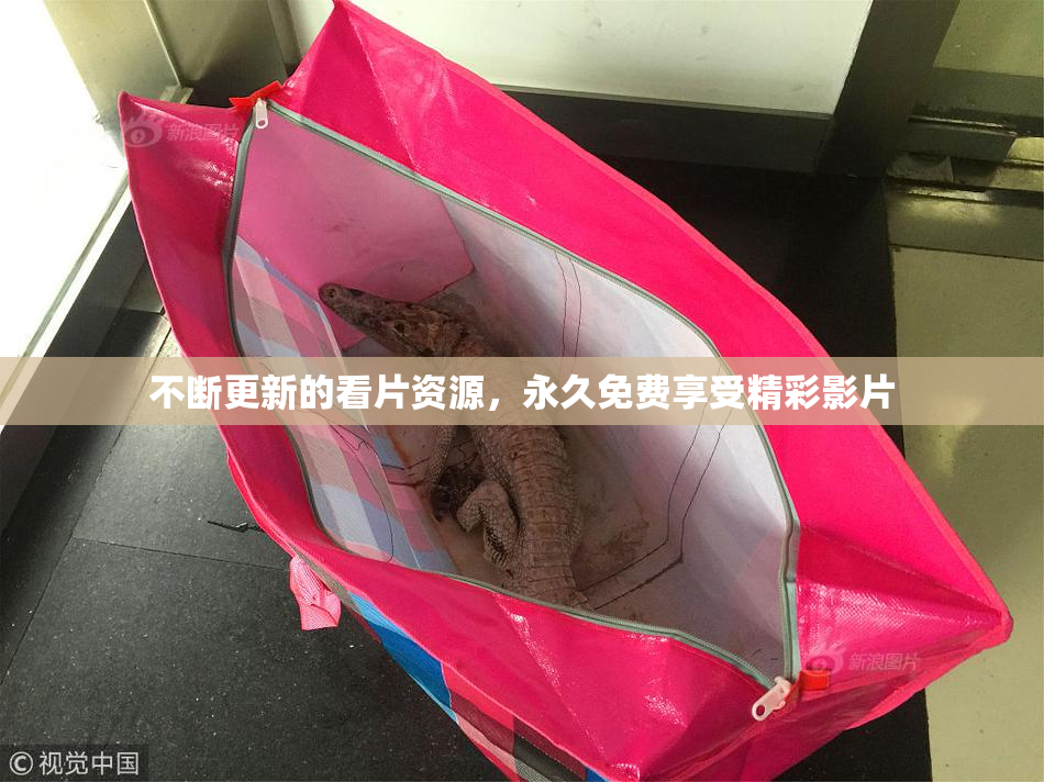 不断更新的看片资源，永久免费享受精彩影片
