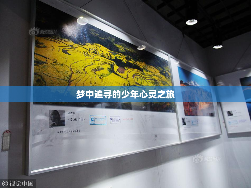 梦中追寻的少年心灵之旅